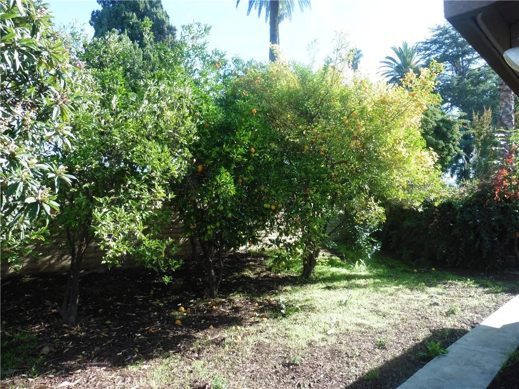 Additional image 22 of 5404 Quince St, Riverside, CA 92506