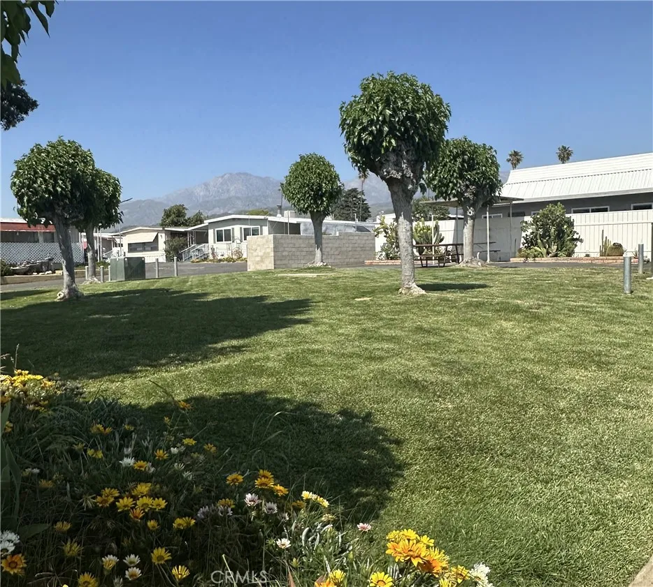 Additional image 52 of 950 California Street Unit 60, Calimesa, CA 92320