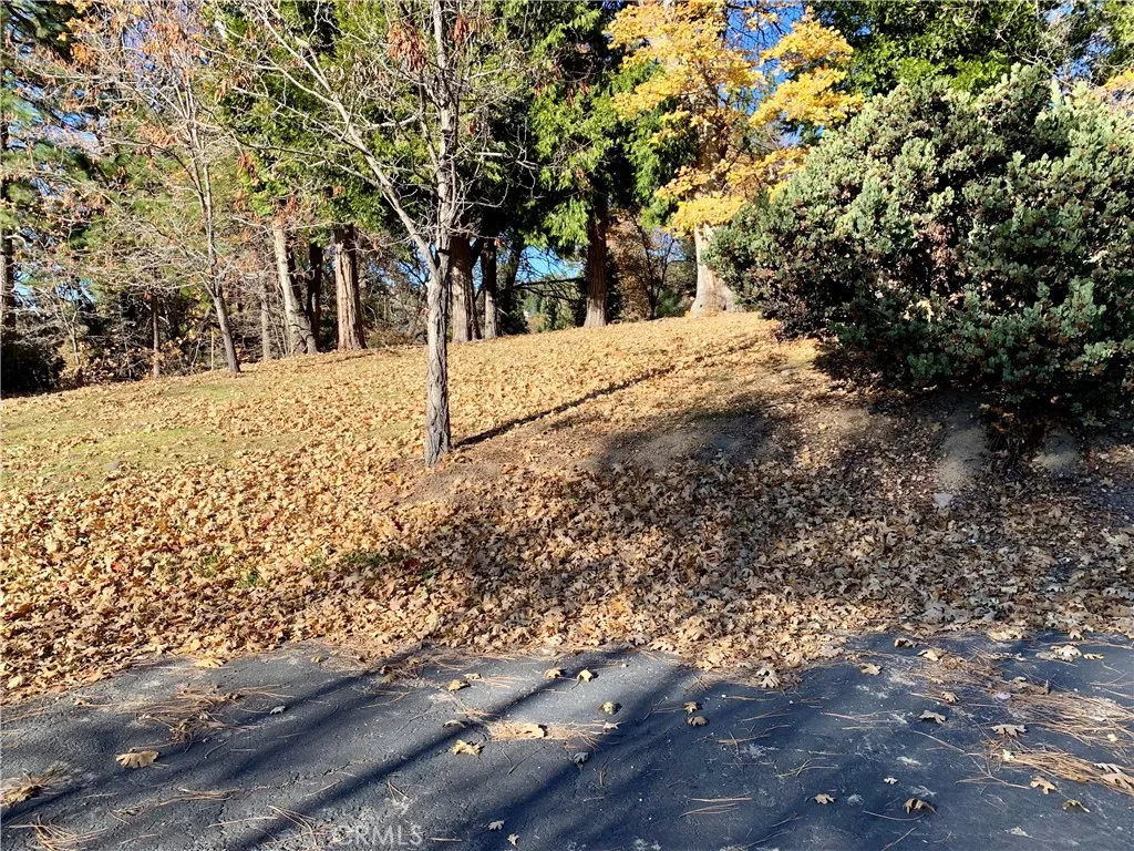 Additional image 23 of 40 Park Dr, Running Springs, CA 92382