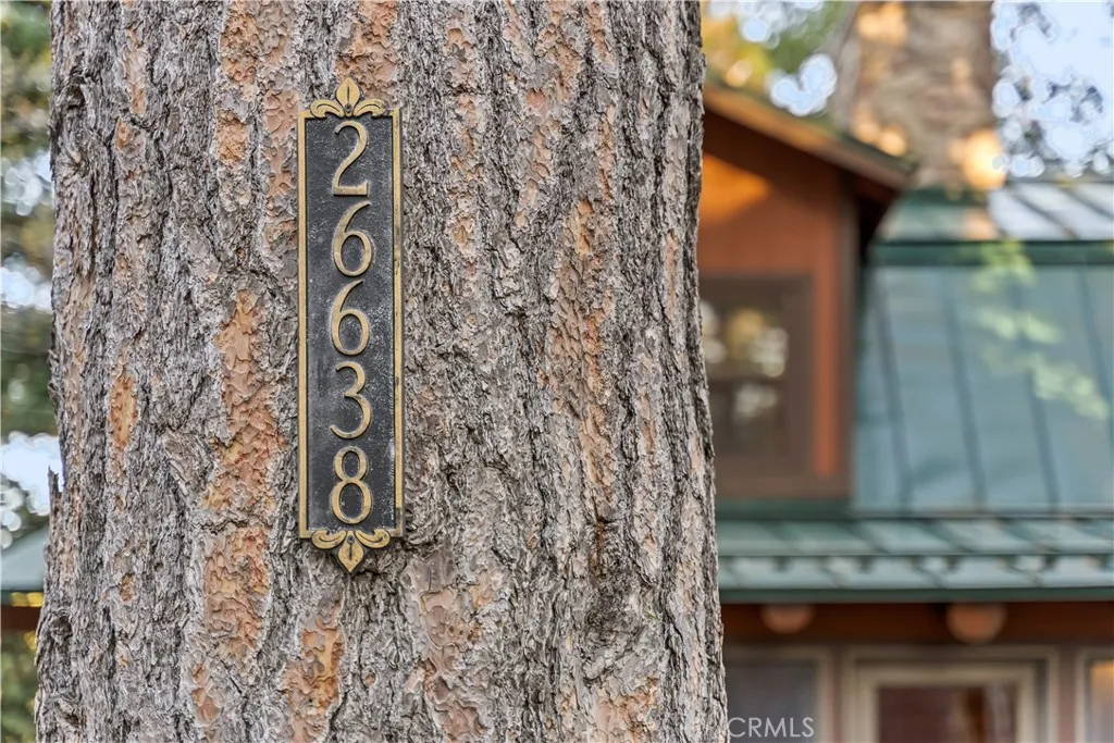 Additional image 67 of 26638 Lake Forest Dr, Twin Peaks, CA 92391