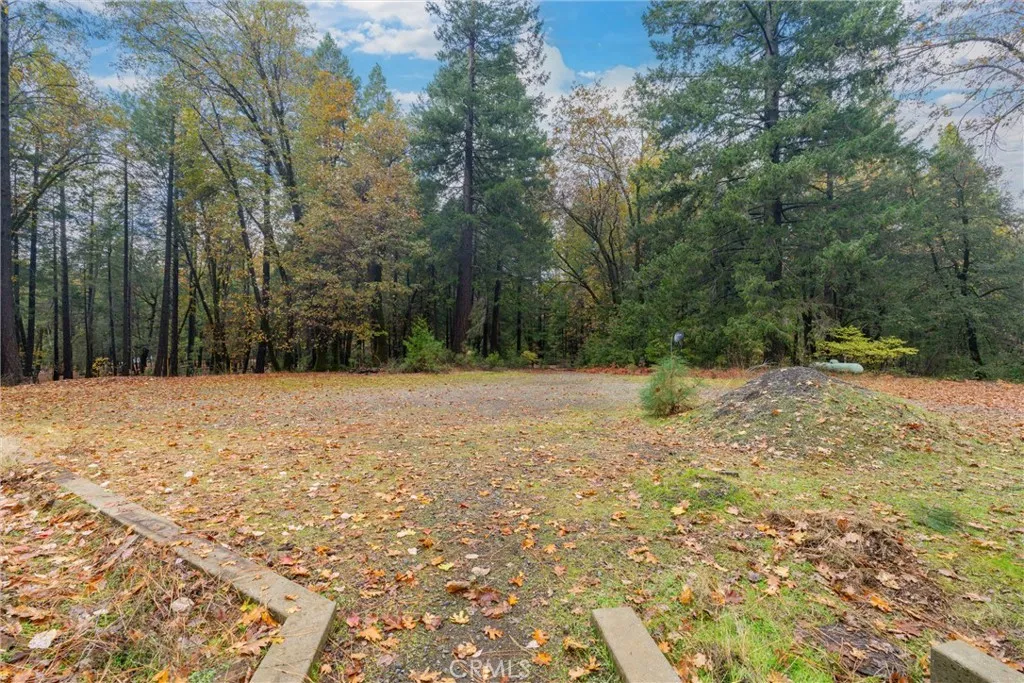 Additional image 145 of 16376 Stage Road, Forest Ranch, CA 95942