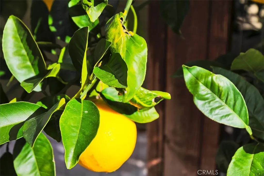 Additional image 78 of 22890 Timber Ln, Wildomar, CA 92595