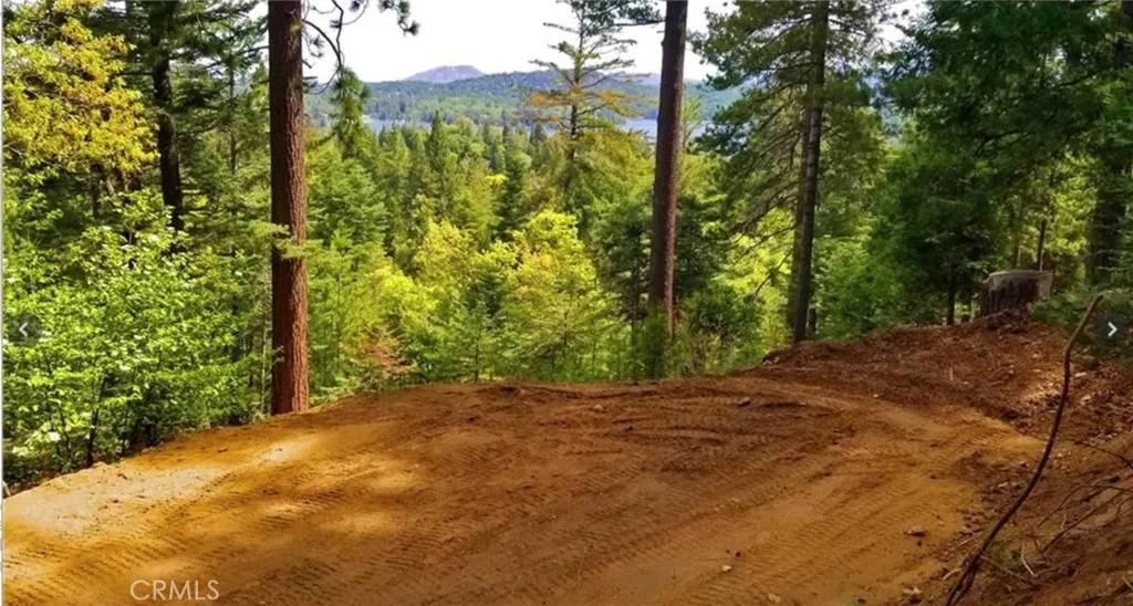 Additional image 5 of 525 Ca-173, Lake Arrowhead, CA 92352