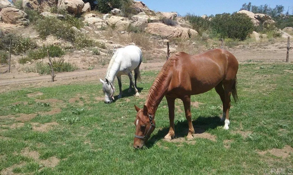 Additional image 114 of 6490 Rainbow Heights Road, Fallbrook, CA 92028