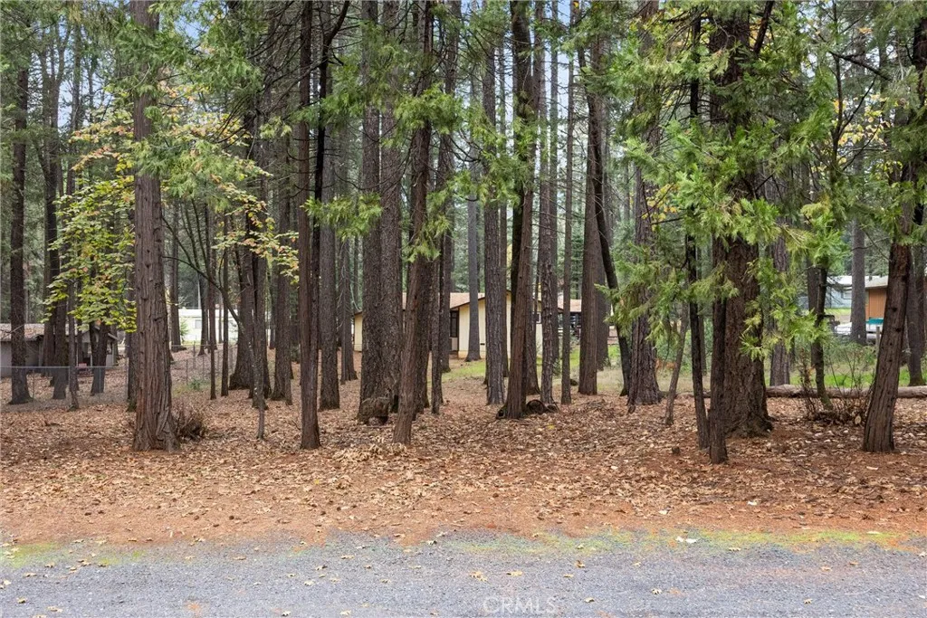 Additional image 73 of 6466 Tikker Ln, Magalia, CA 95954