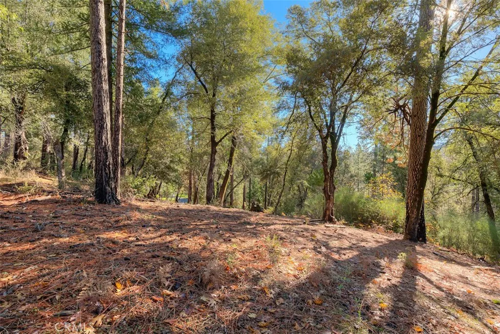 Additional image 35 of 3625 Charqui Court, Oroville, CA 95965