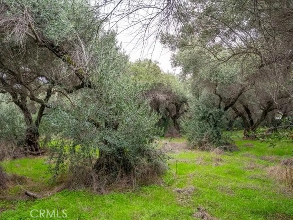 Additional image 39 of 5287 Barham Avenue, Corning, CA 96021