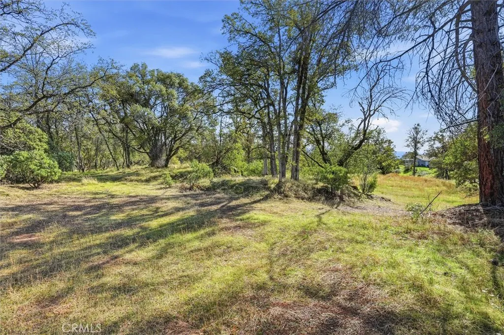 Additional image 101 of 32169 Maranatha Dr, North Fork, CA 93643