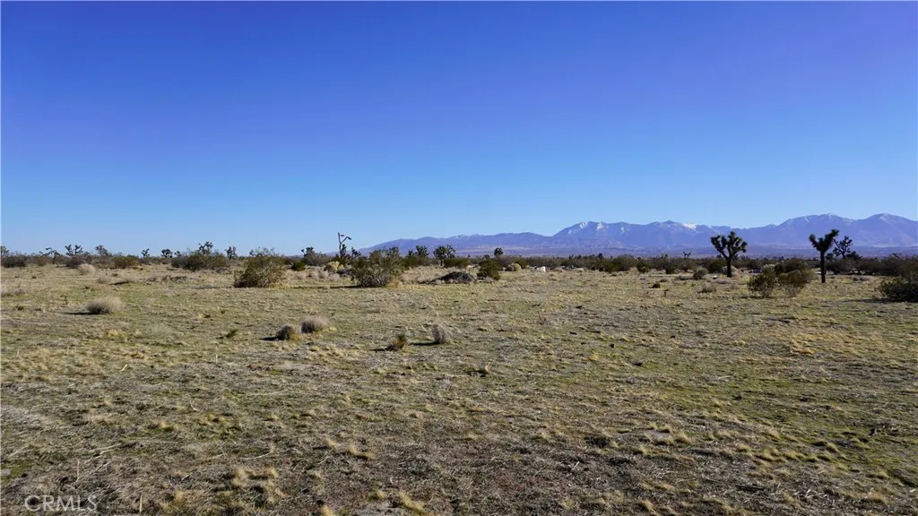 Additional image 38 of 118th, Sun Village, CA 93543