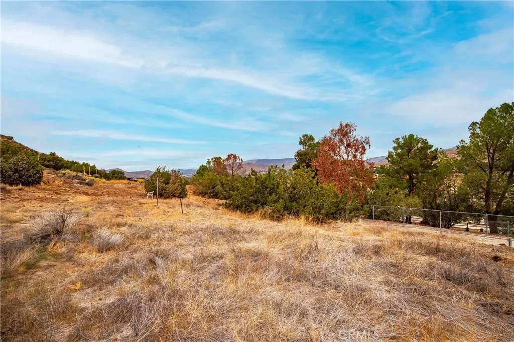 Additional image 103 of 31741 Lake Meadow Rd, Acton, CA 93510