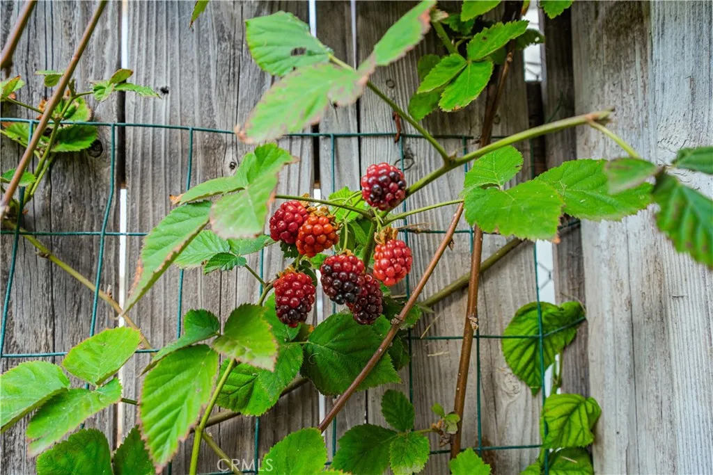 Additional image 38 of 6580 Lake St, Riverside, CA 92503