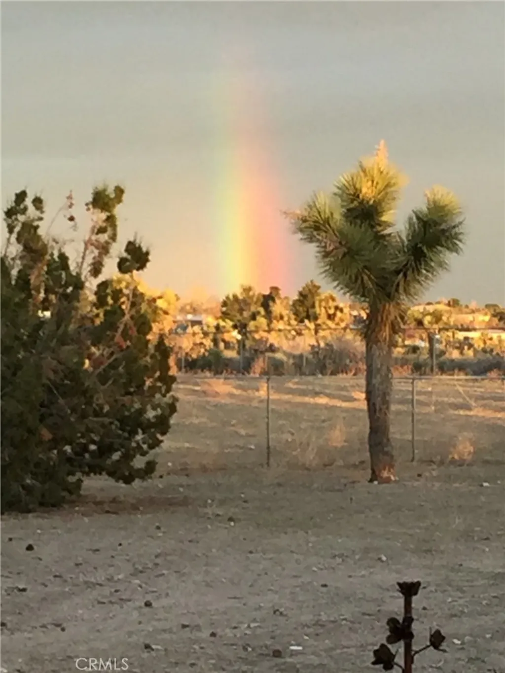 Additional image 57 of 3996 Yucca Terrace Dr, Phelan, CA 92371