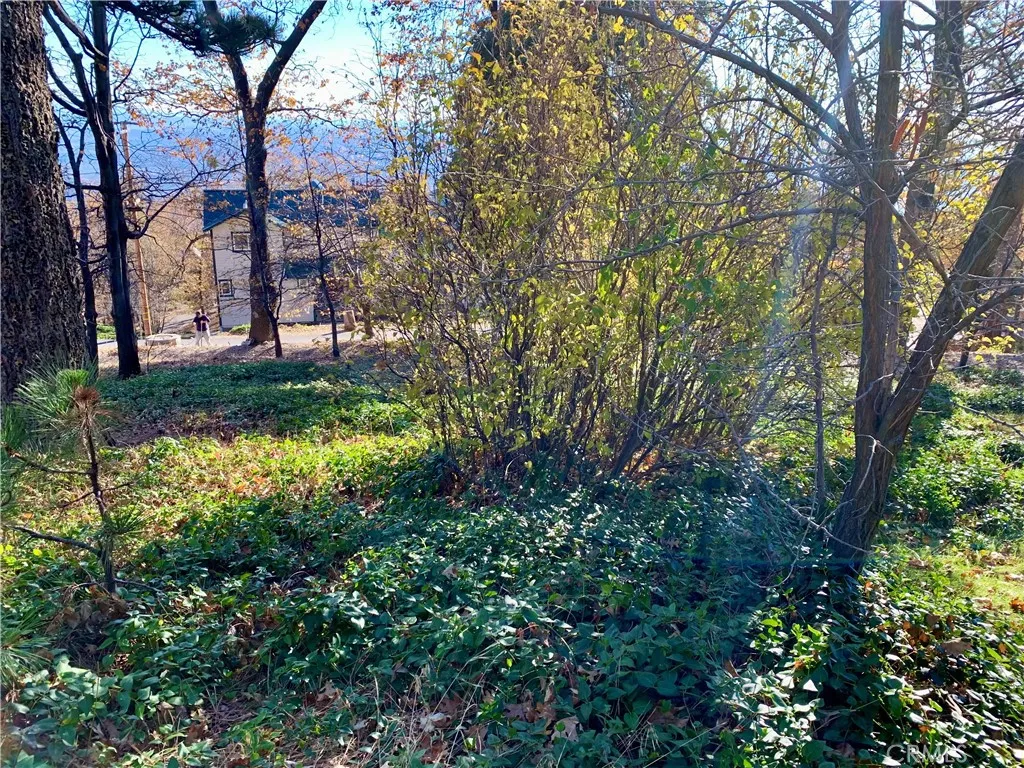 Additional image 15 of 40 Park Dr, Running Springs, CA 92382