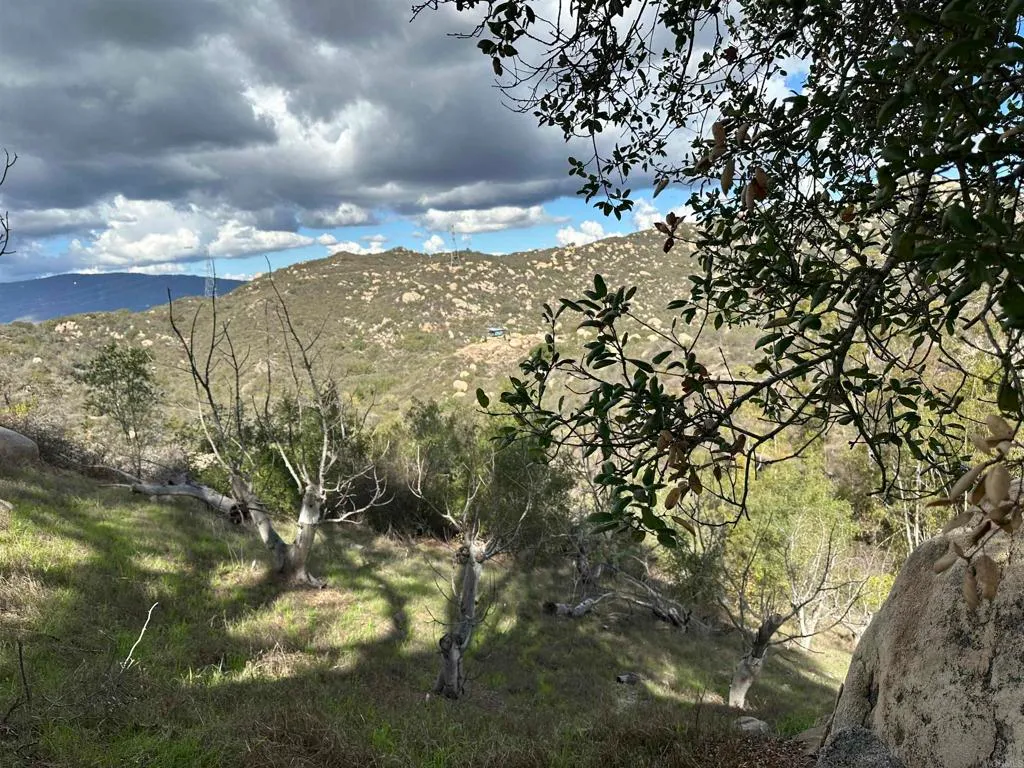 Additional image 48 of 2494 Lane Ln, Fallbrook, CA 92028