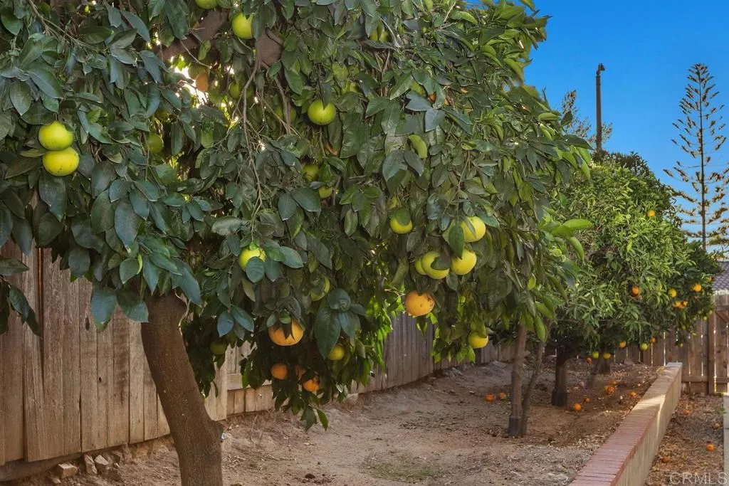 Additional image 43 of 1446 San Carlos Place, Escondido, CA 92026