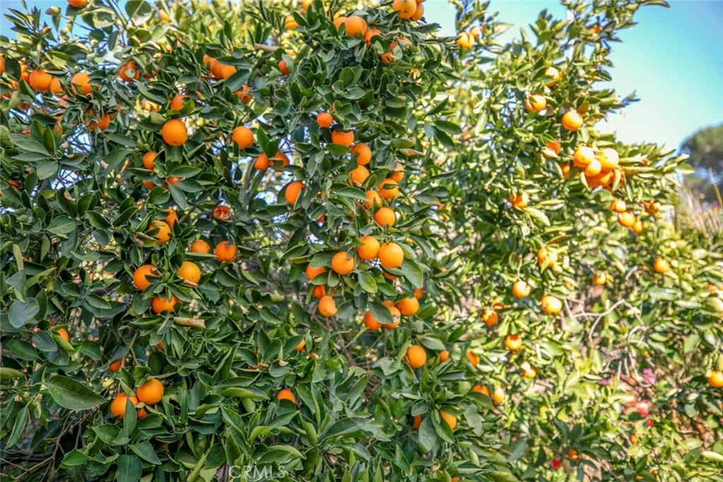 Additional image 50 of 11020 Scoville Avenue, Sunland, CA 91040