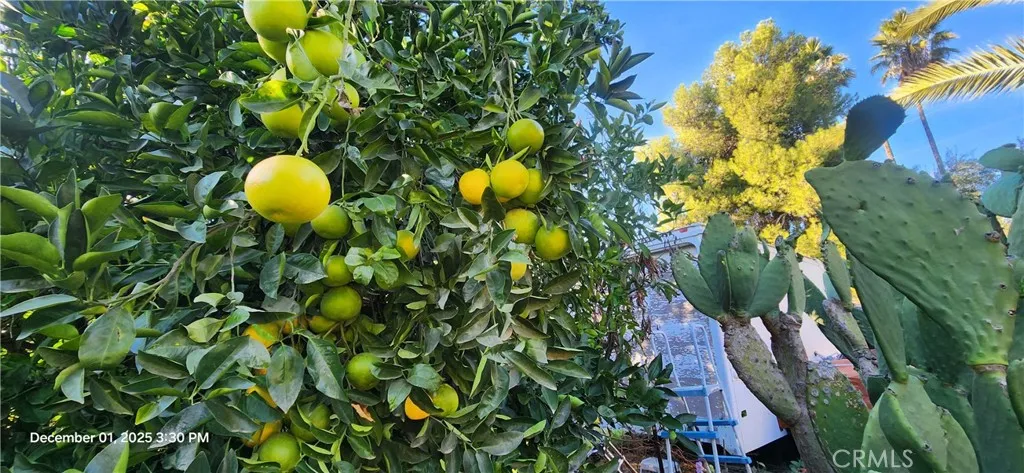 Additional image 38 of 33508 Orange Street, Wildomar, CA 92595