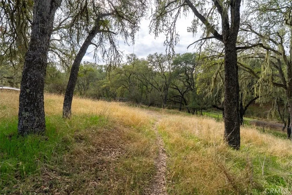 Additional image 97 of 1505 Barley Grain, Paso Robles, CA 93446