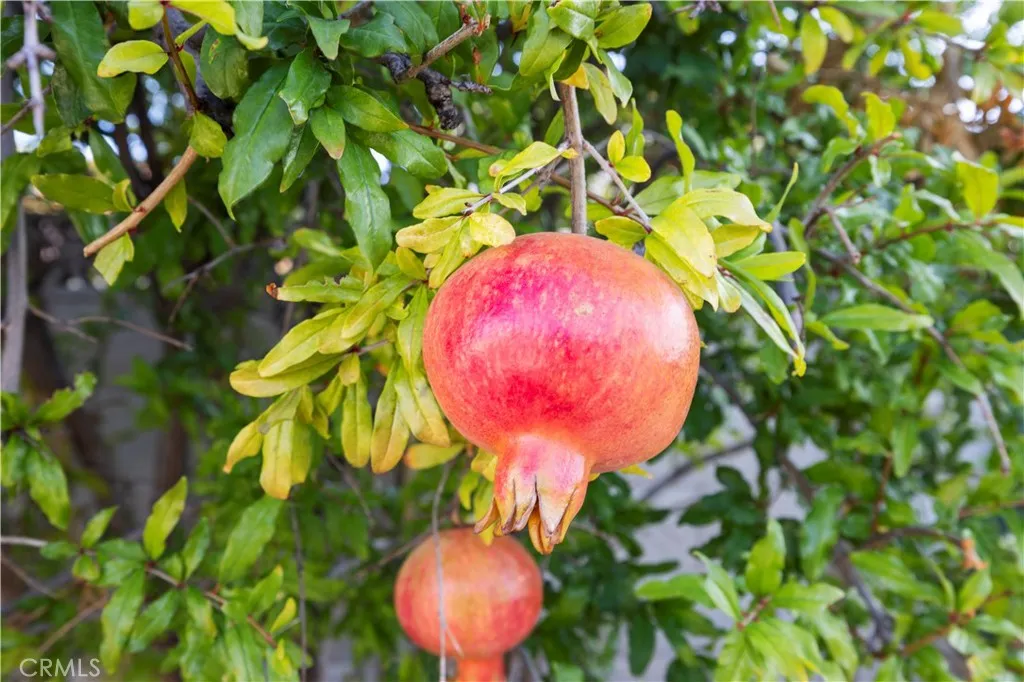 Additional image 102 of 19648 Lonerock St, Canyon Country, CA 91351