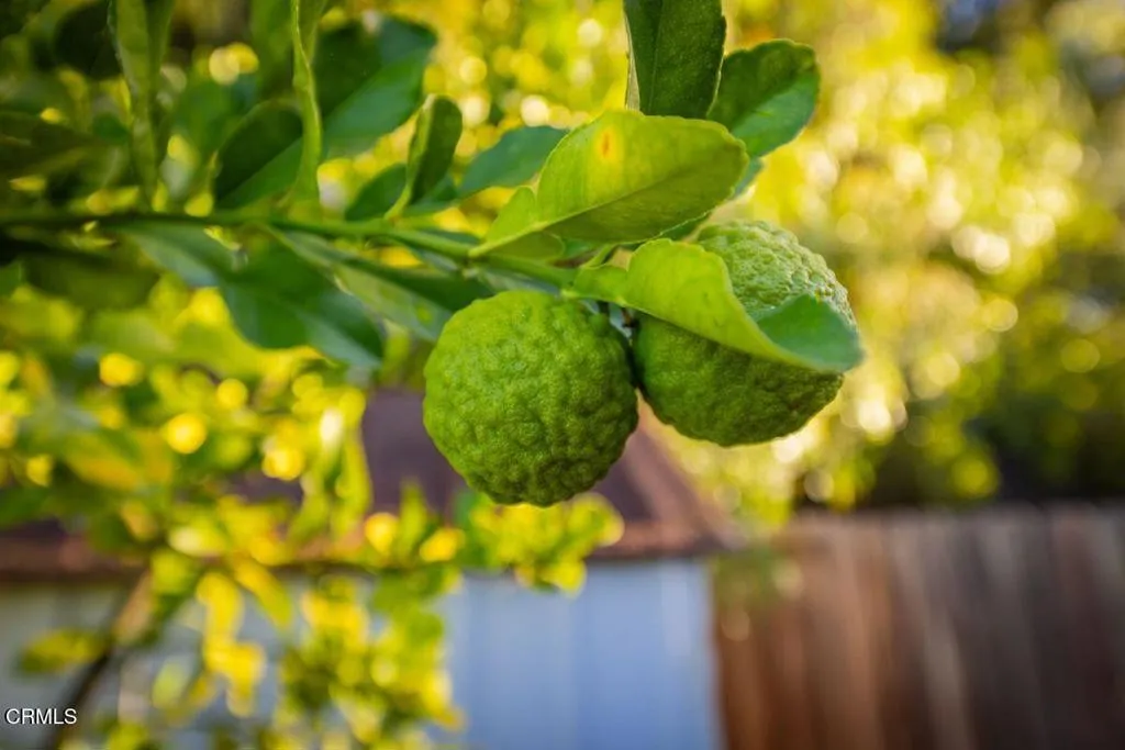 Additional image 23 of 11604 N Ventura Avenue, Ojai, CA 93023