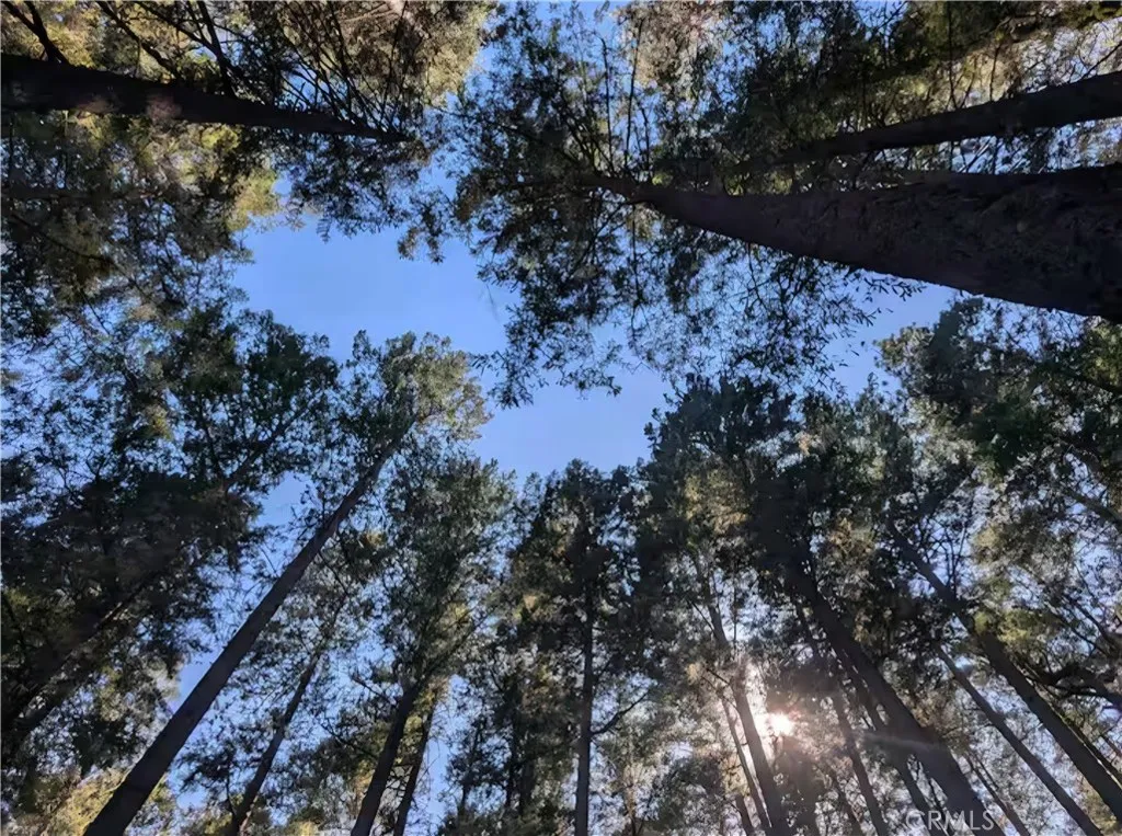 Additional image 15 of 16135 Bottle Rock rd., Cobb, CA 95426