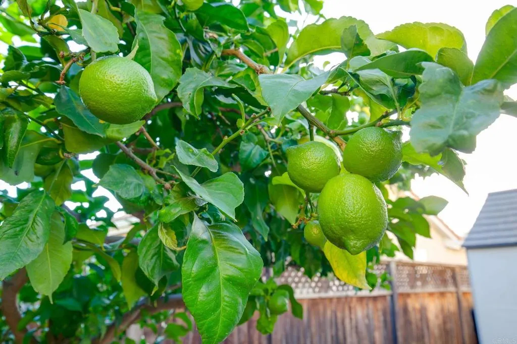 Additional image 52 of 2132 Savona Court, Vista, CA 92084