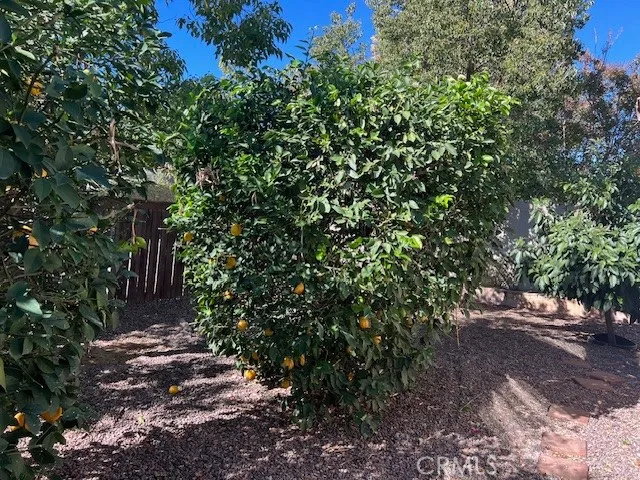 Additional image 65 of 581 Dorothy Anna Dr, Banning, CA 92220