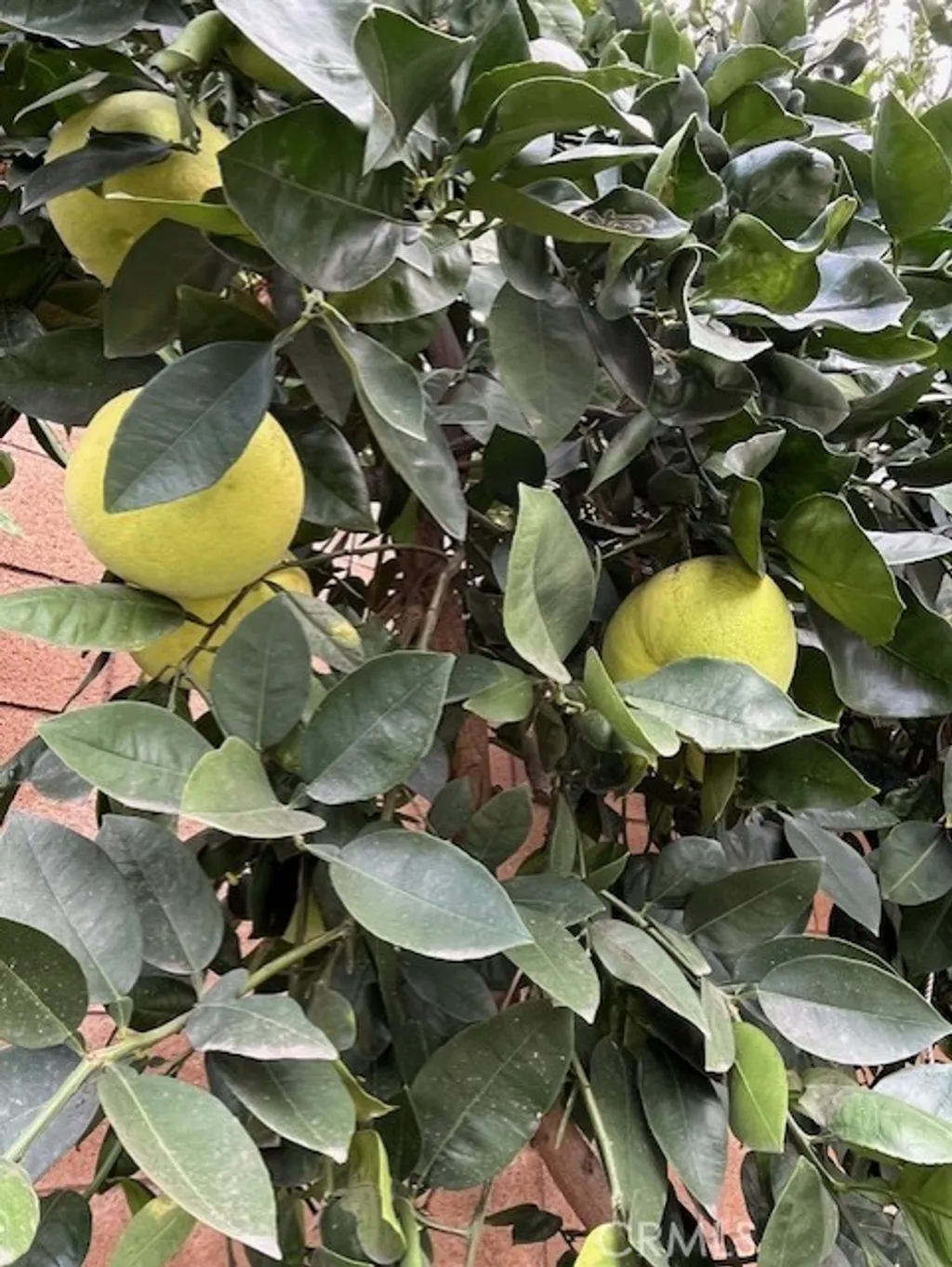 Additional image 21 of 8640 Westman Ave, Whittier, CA 90606