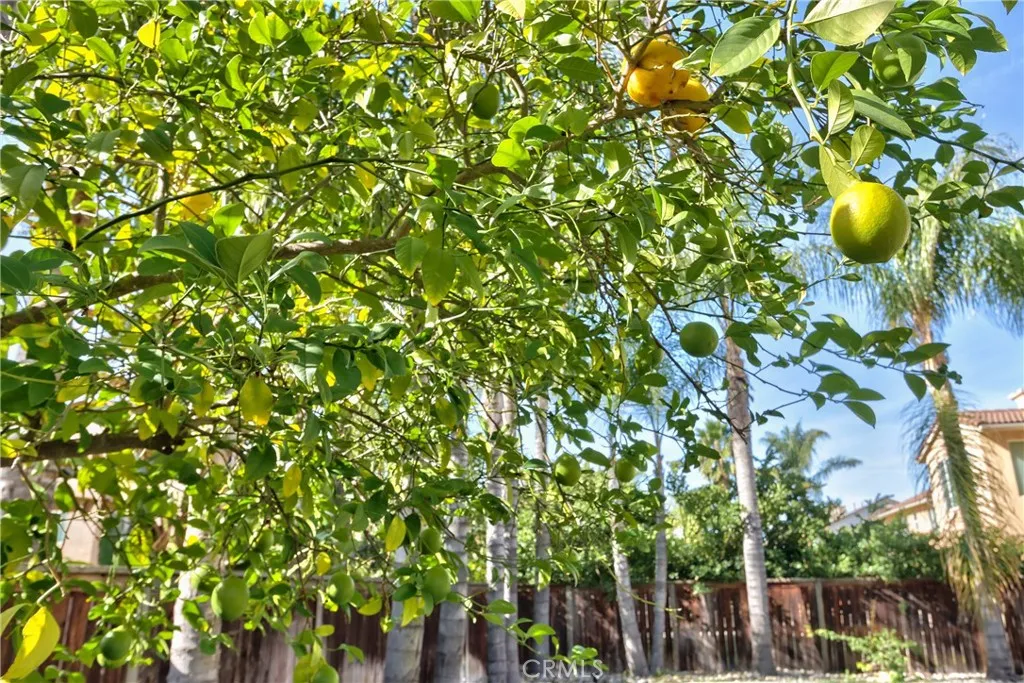 Additional image 55 of 29419 Shady Ln, Murrieta, CA 92563