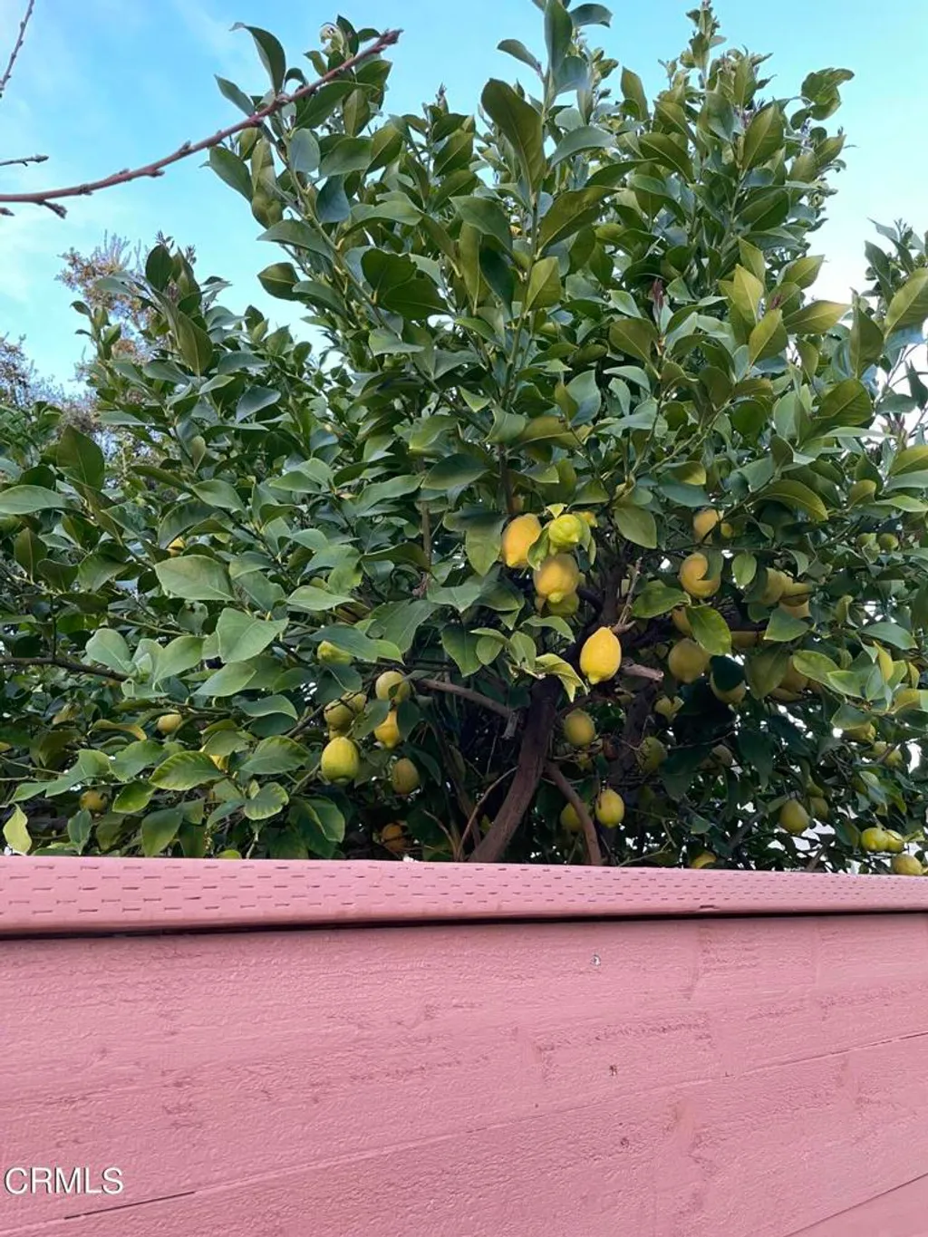 Additional image 16 of 211 Fox Street, Ojai, CA 93023