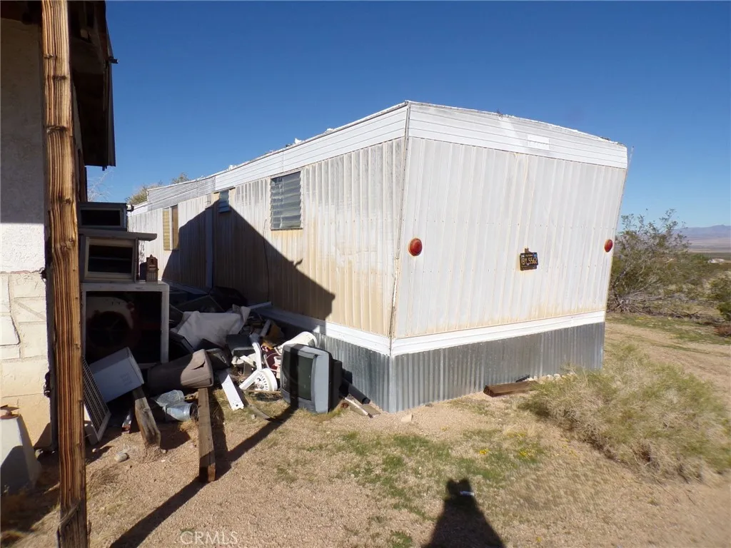 Additional image 15 of Cholla, Johnson Valley, CA 92285