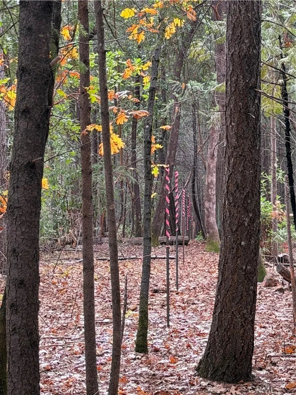 Property image for 8890 La Porte Road, Brownsville, CA 95919