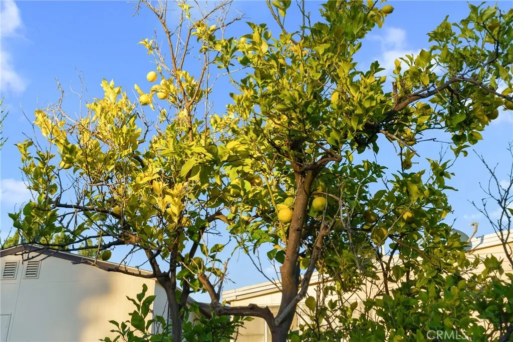 Additional image 26 of 24001 Muirlands Blvd Unit 47, Lake Forest, CA 92630