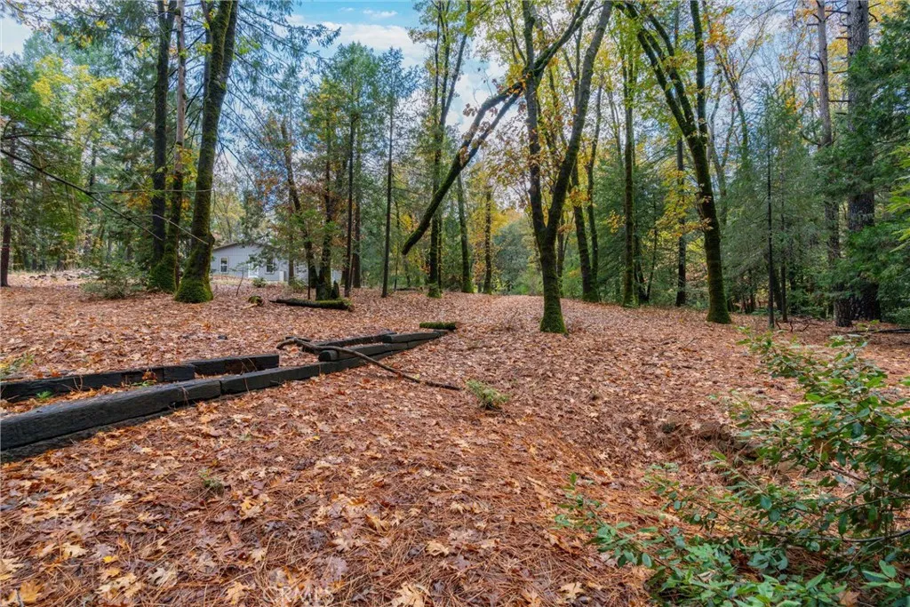 Additional image 126 of 16376 Stage Road, Forest Ranch, CA 95942