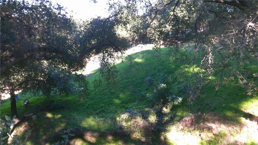 Additional image 9 of 4214 Elzevir Road, Woodland Hills, CA 91364