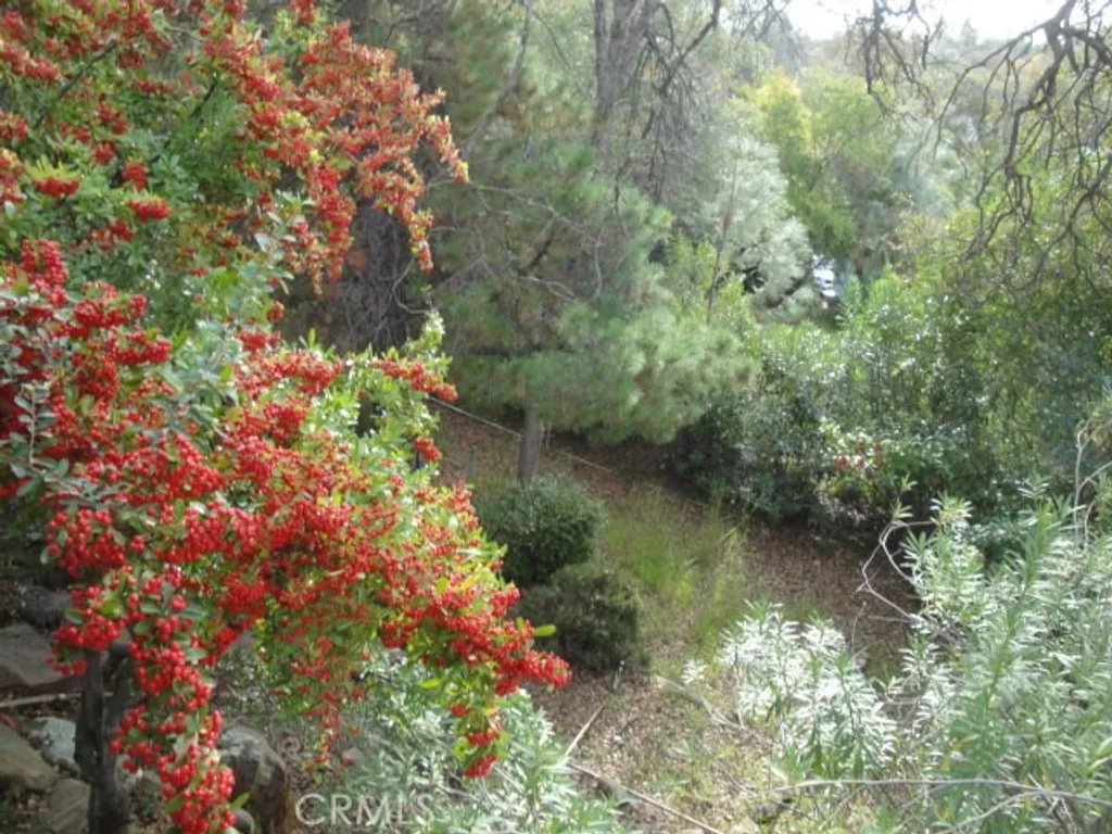 71 Greenbrier Drive, Oroville, CA 95966