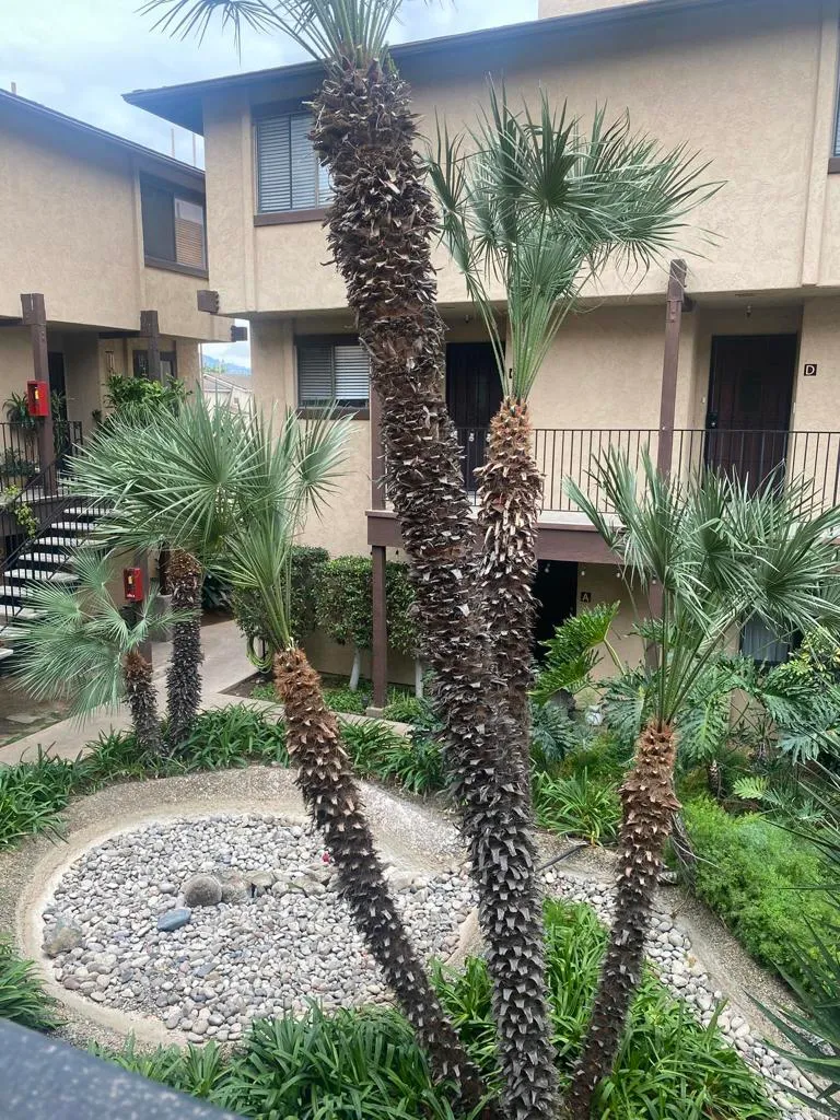 Additional image 32 of 1170 Decker Street Unit D, El Cajon, CA 92019