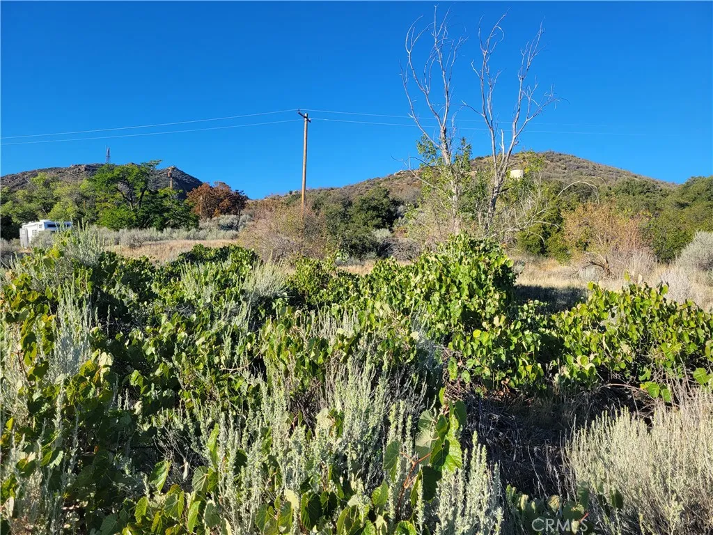 Additional image 30 of 44451 Jay Dr, Anza, CA 92539