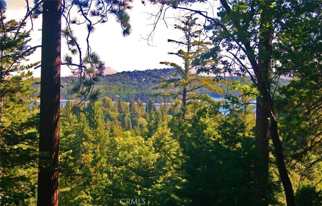 Additional image 23 of 525 Ca-173, Lake Arrowhead, CA 92352