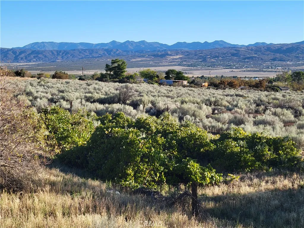 Additional image 29 of 44451 Jay Dr, Anza, CA 92539