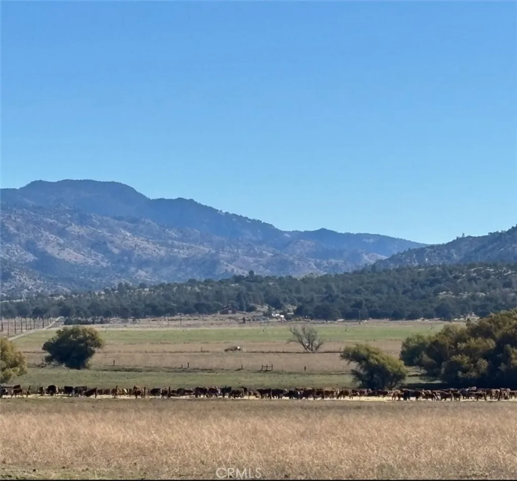 Additional image 11 of 18266 Caliente Creek Road, Caliente, CA 93518