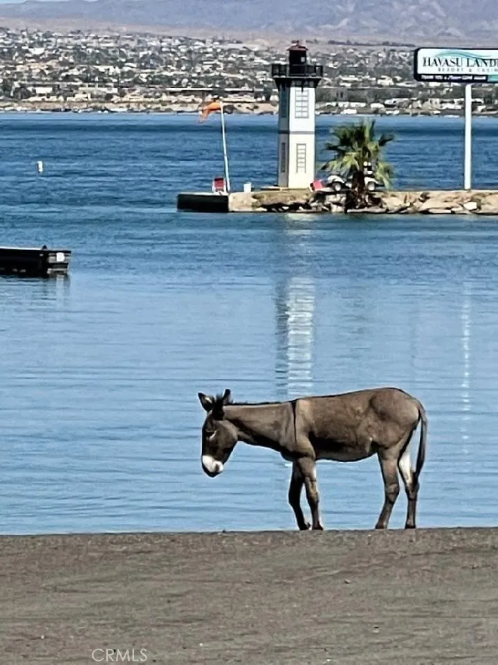 Additional image 36 of Lot 2 on Desert View, Needles, CA 92363