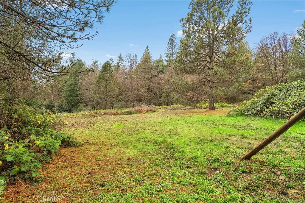 Additional image 127 of 18774 Challenge Cut Off Road, Forbestown, CA 95941