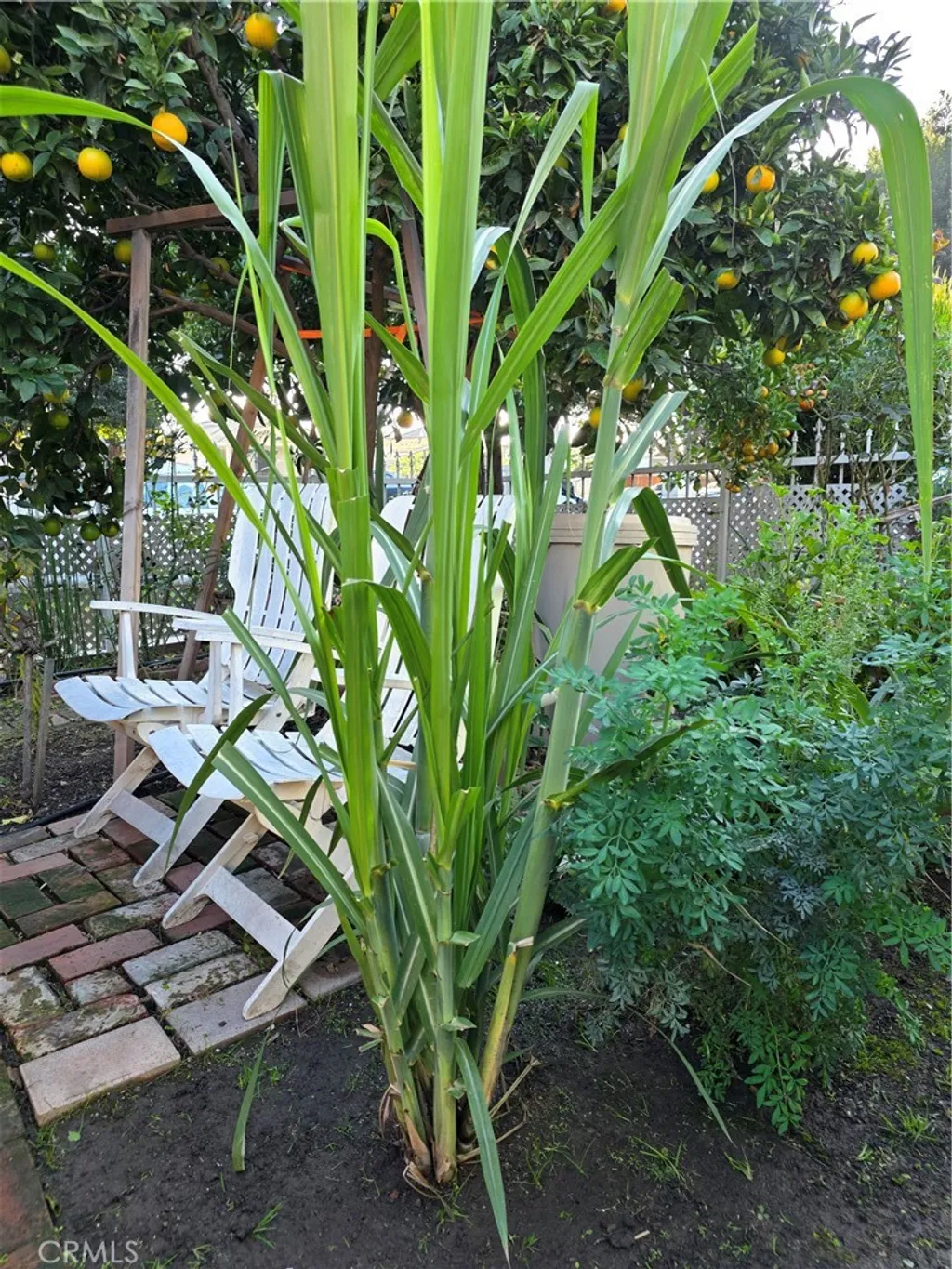 Additional image 19 of 351 E 92nd St, Los Angeles, CA 90003