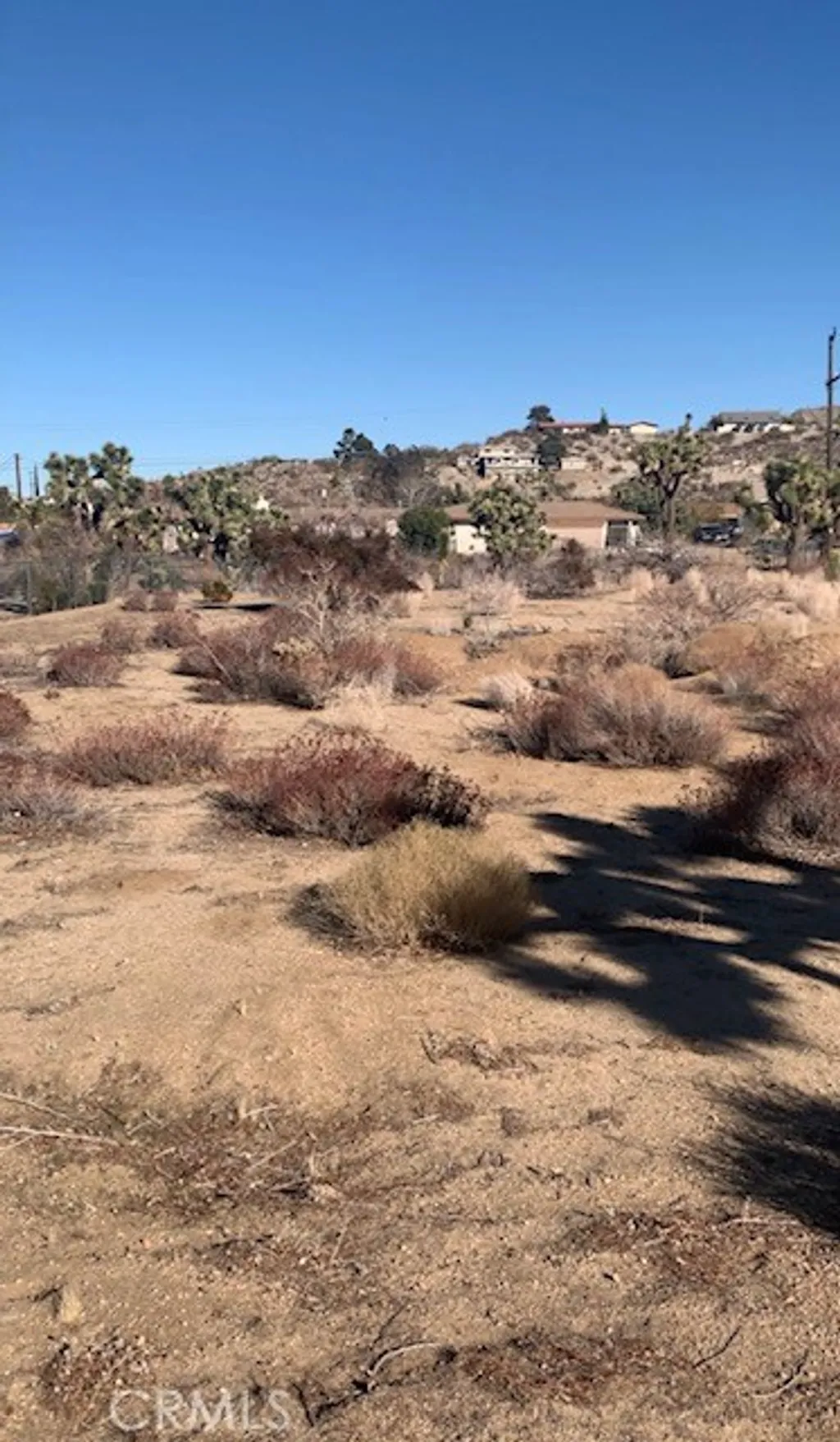 Additional image 4 of 8001 Aster Ave, Yucca Valley, CA 92284