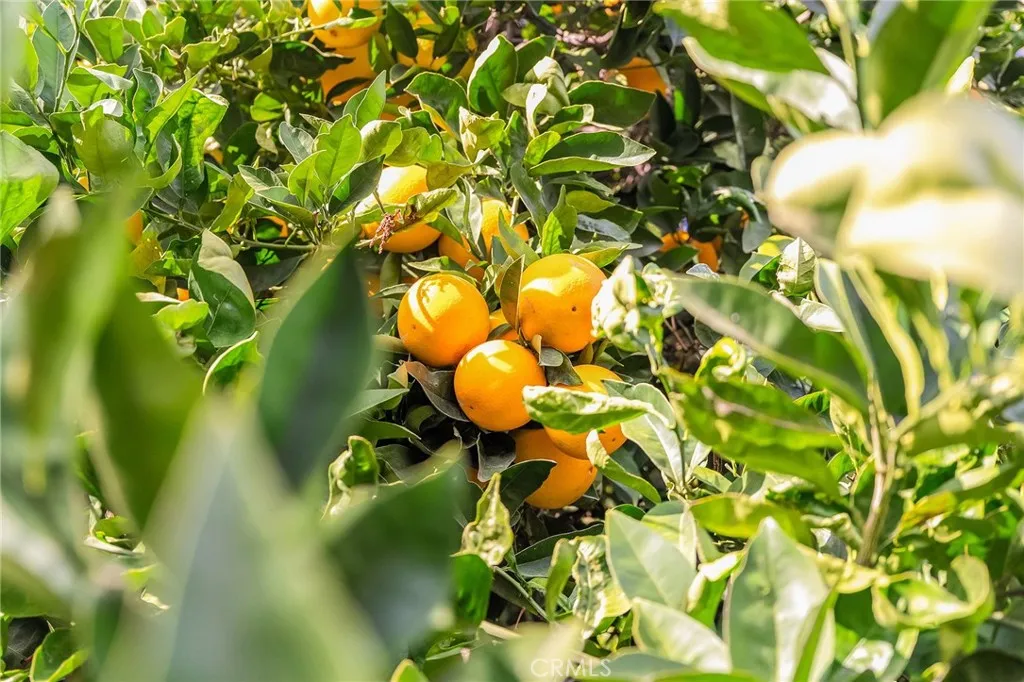 Additional image 77 of 309 Central St, Orland, CA 95963