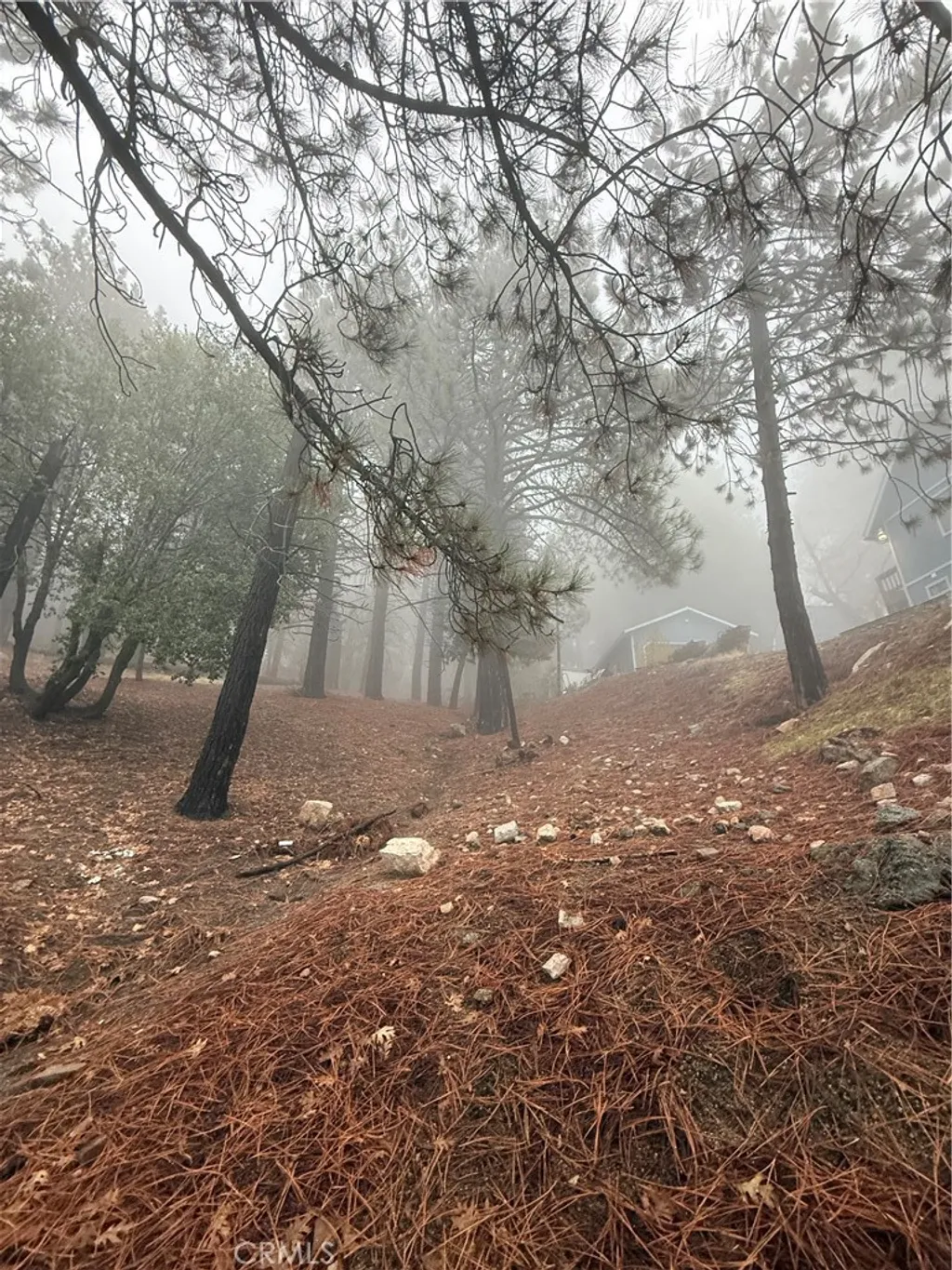 Additional image 9 of Poplar, Running Springs, CA 92382