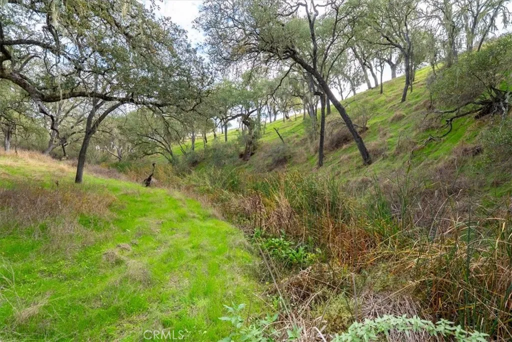 Additional image 45 of 1505 Barley Grain, Paso Robles, CA 93446