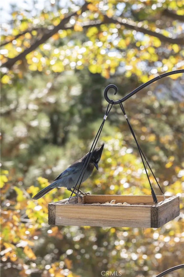 Additional image 70 of 1010 Black Oaks Dr, Lake Arrowhead, CA 92352