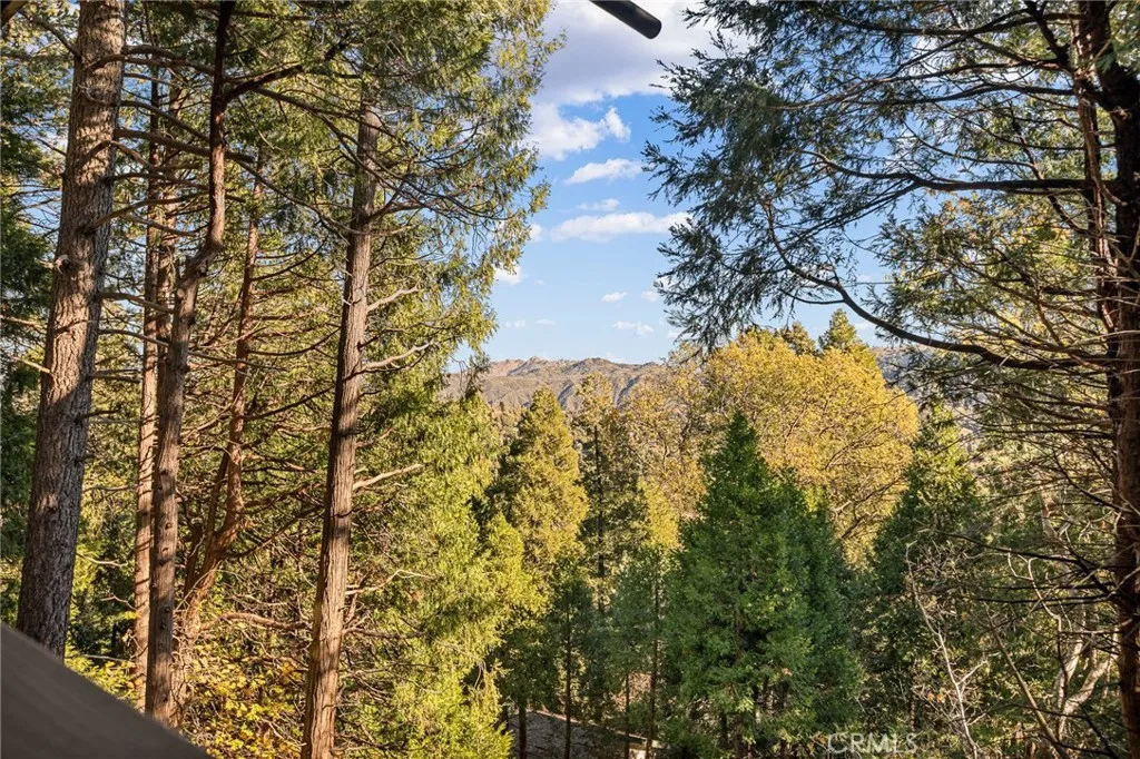 Additional image 84 of 999 Mercury Way, Crestline, CA 92325